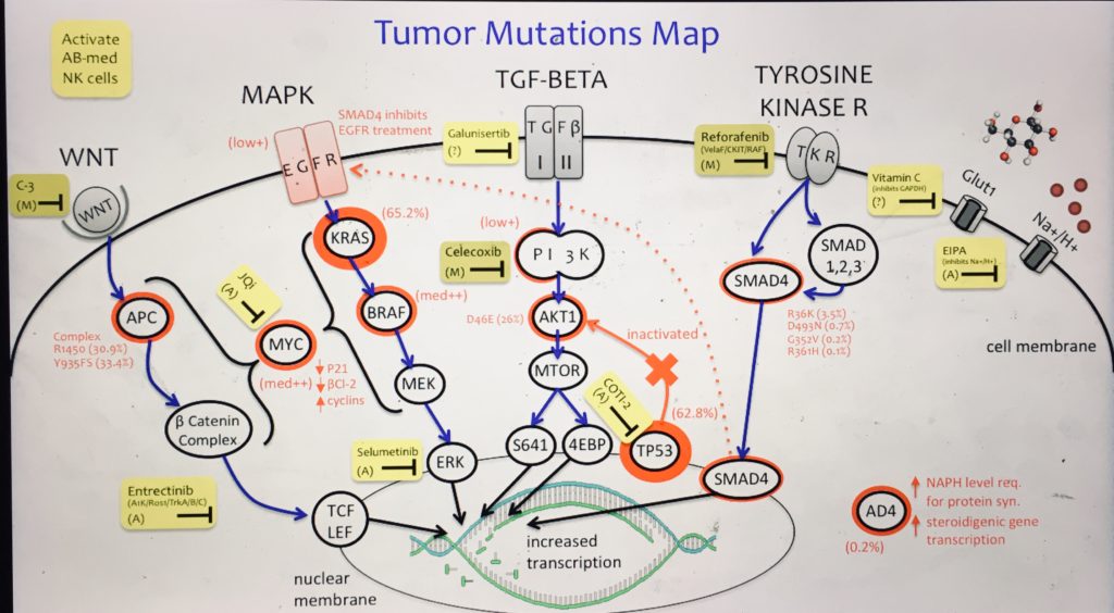 Figure 2. Final digital version of the complex tumor mutation map for a case of stage IV colorectal cancer