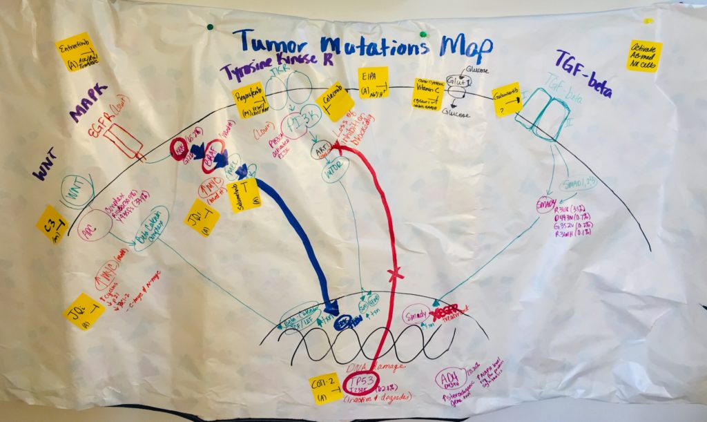 Figure 1. Rough draft of a complex tumor mutation map for a case of stage IV colorectal cancer